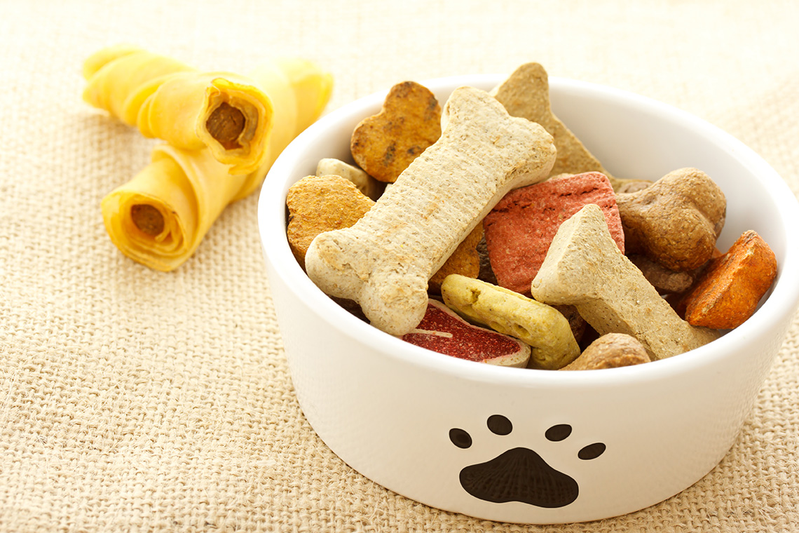 Pet treats in a dish